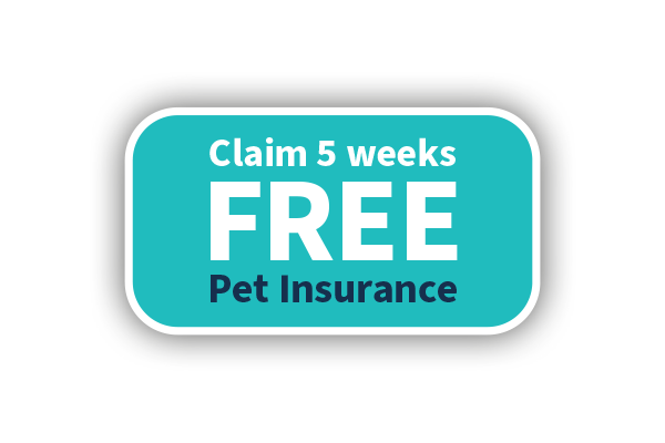 5 Weeks Free Pet Insurance