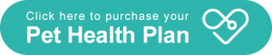purchase-plan
